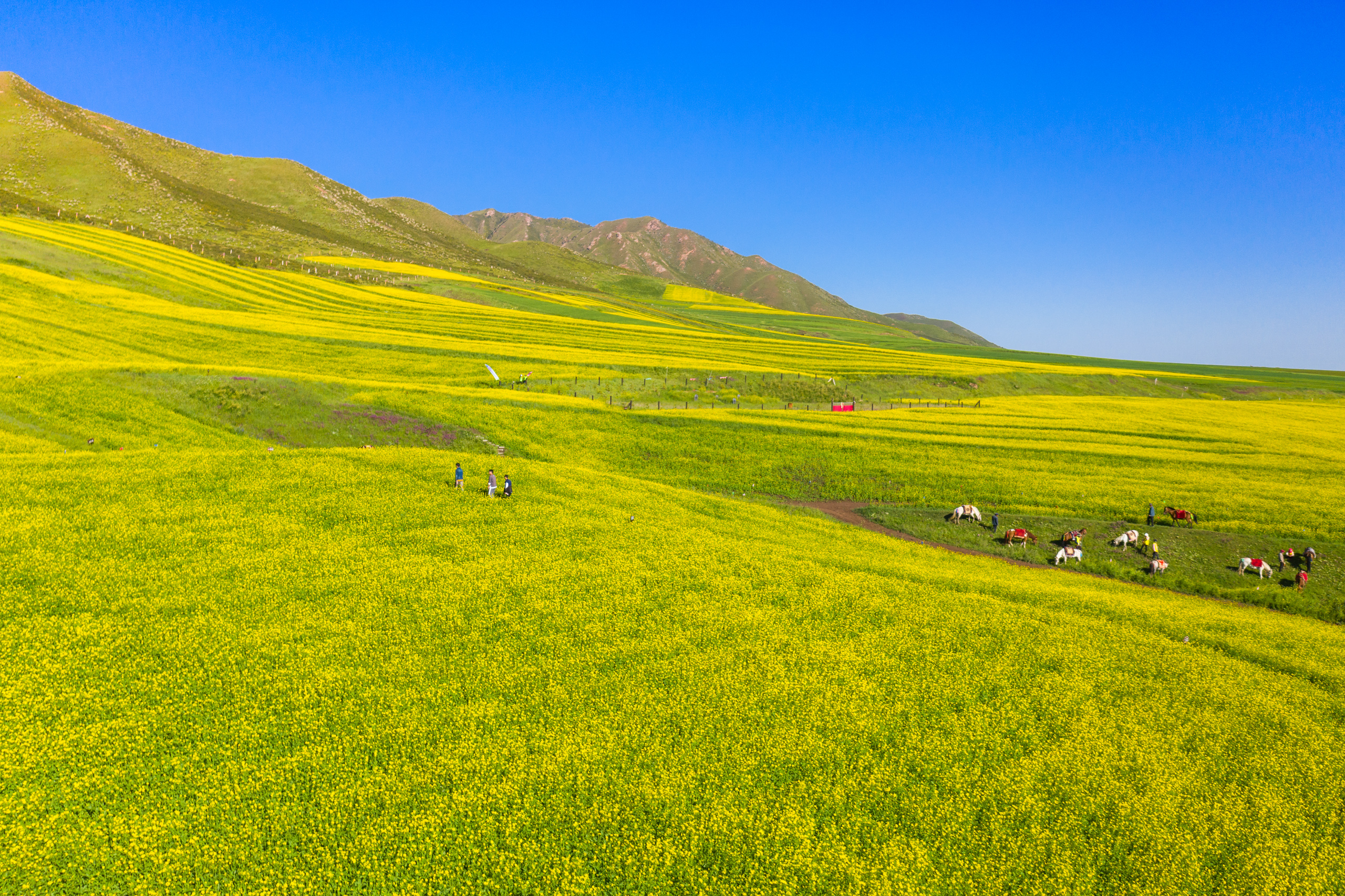 扁都口生态休闲旅游景区