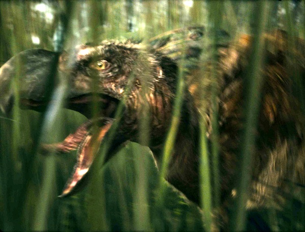 公园前10000万年