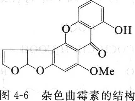  p>杂色曲霉素(sterigmatocystin)主要是杂色曲霉(aspergillus
