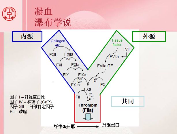  p data-id="gnwtfu8pfk">瀑布学说(瀑布样学说)是指血液中的凝血因子