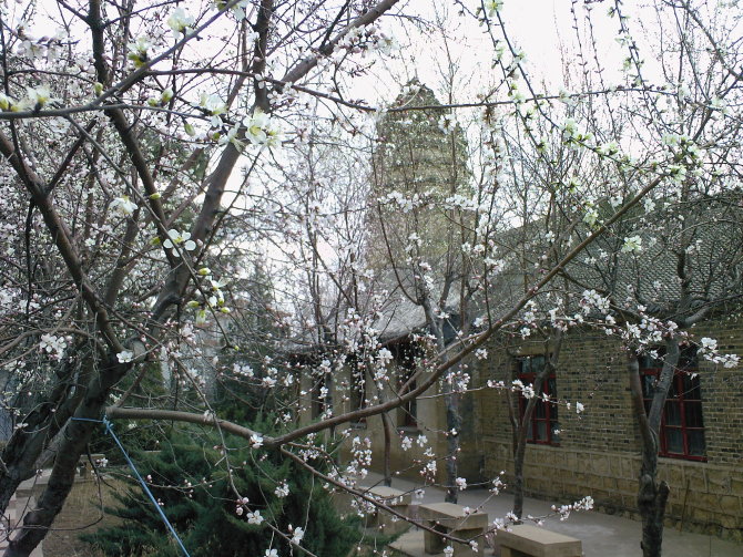  p> a href="#" data-lemmaid="10061943">喀左县高级中学 /a>(古塔