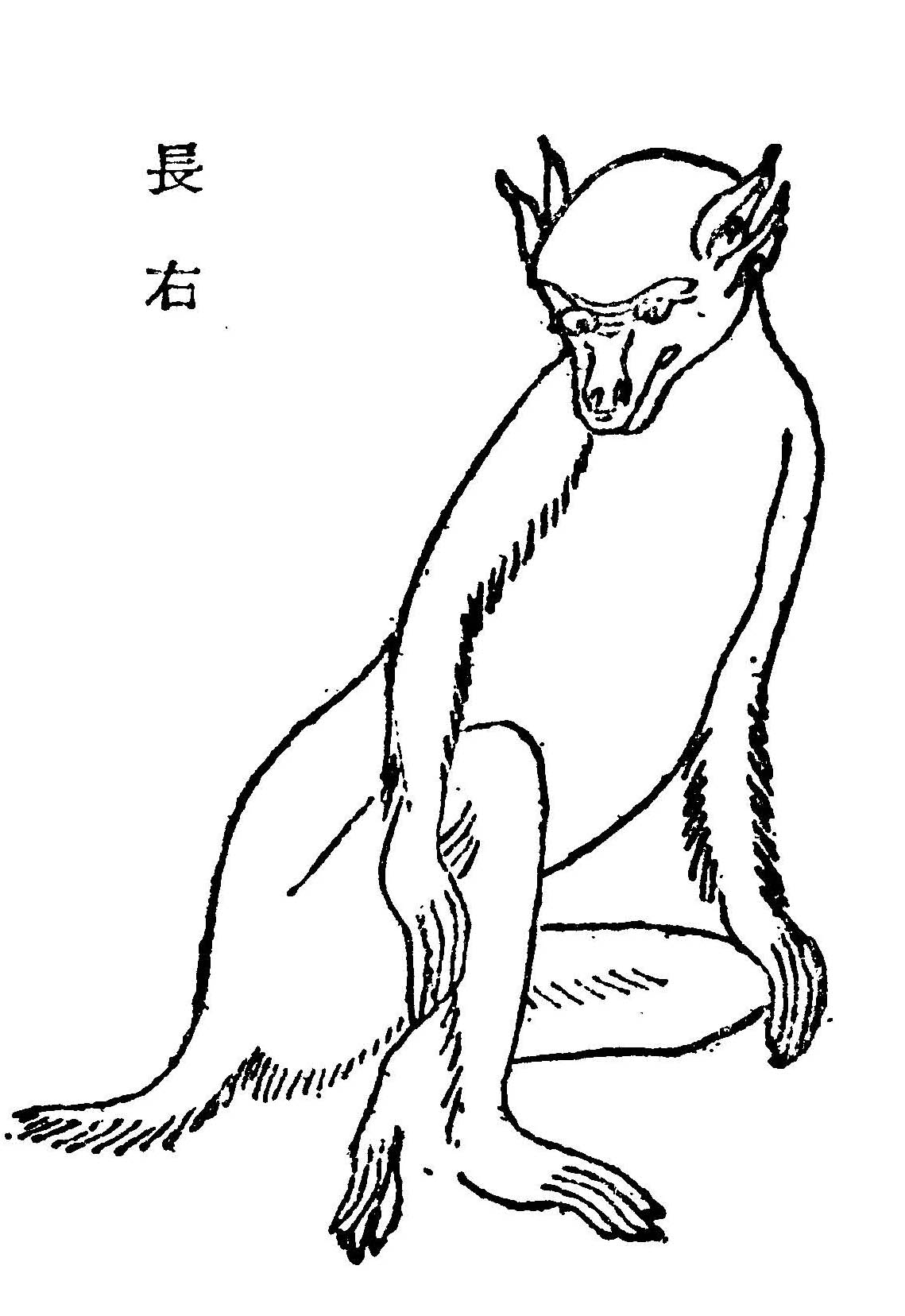 猾褢