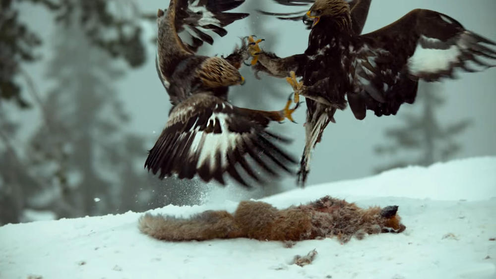  p>《地球脉动 第二季》是由 a target="_blank" href="/item/英国