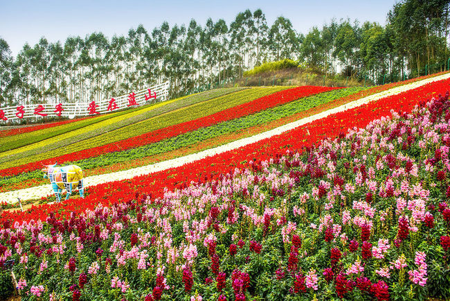 花海位于福建省 a target="_blank" href="/item/漳州市/607531" data