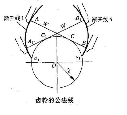 齿轮公法线,是一条与基圆相切,与齿轮异侧渐开线相交的直线.