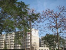 兴宁城乡建设