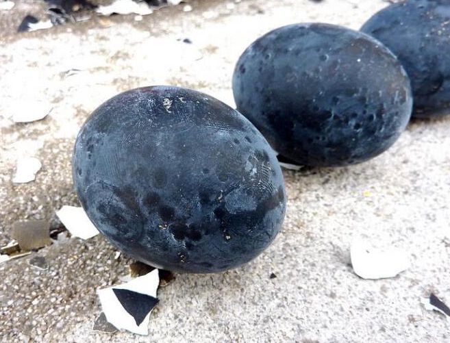  p>在日本,提起 a target="_blank" href="/item/大涌谷/1157977"