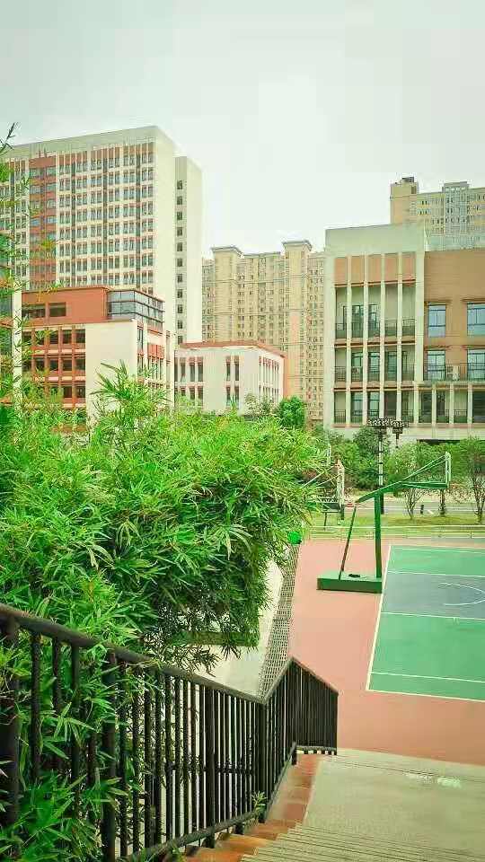 合肥市第三十五中学