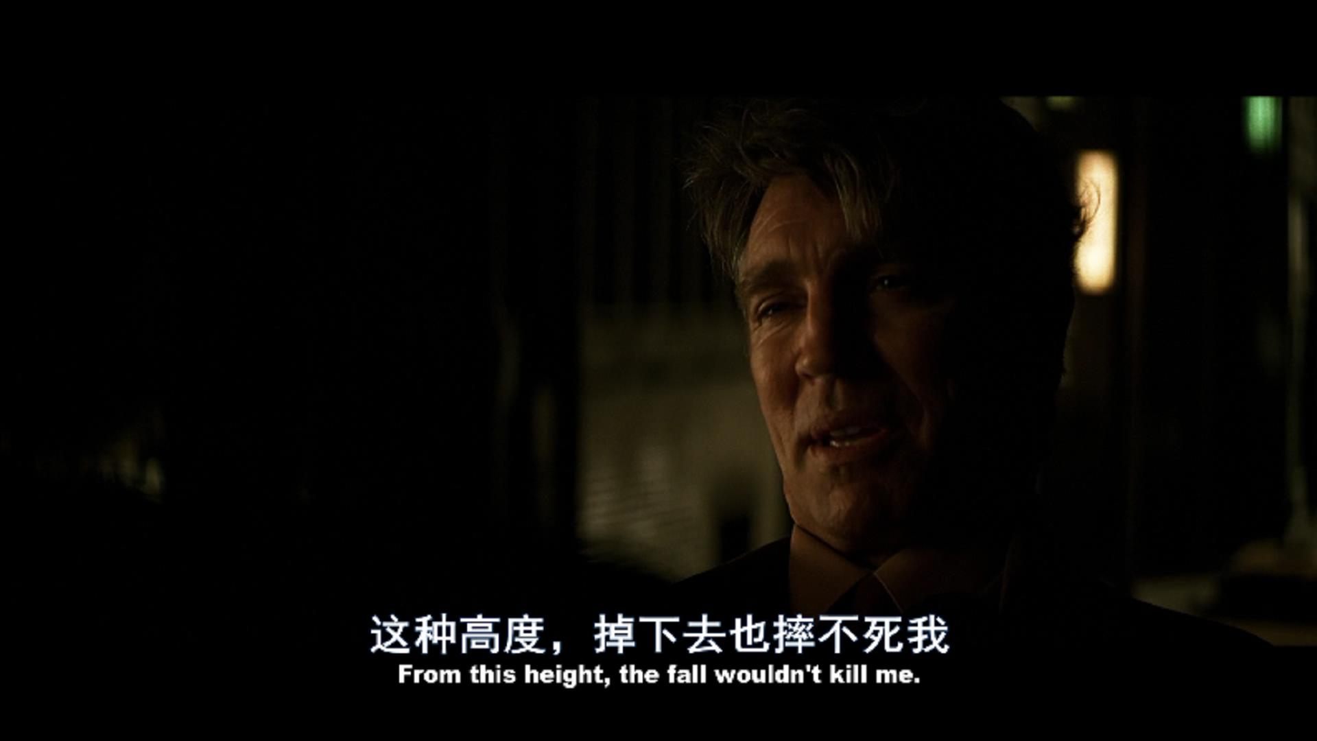 蝙蝠侠2黑暗骑士影评