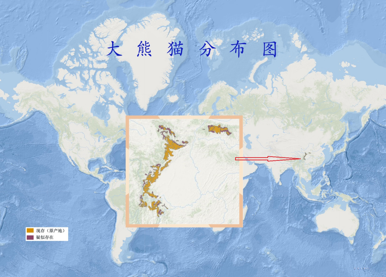 大熊猫分布图