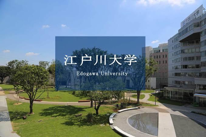 江户川大学设有社会学部(人类心理学科,经营社会学科,生活设计学