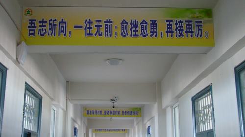 肇州县杏山中学