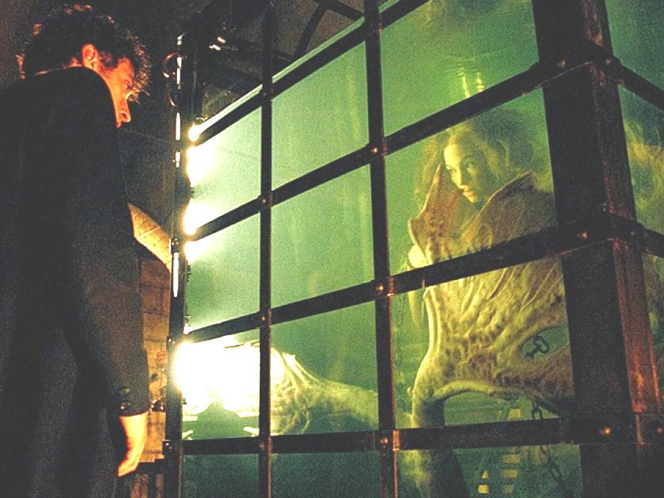 喵嗷污看电影《终极人鱼岛》