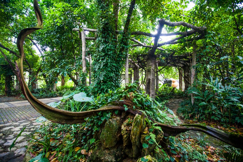  p>广西药用植物园位于 a target="_blank" href="/item/广西壮族自治