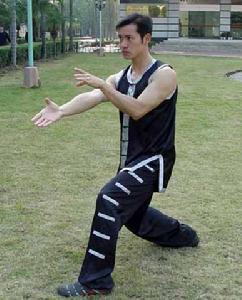  p>少林鹤桩拳是鹤拳的一种,形象似鸟衔理羽毛状,善用掌,常发声,以声