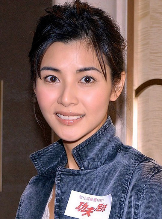  p>蒙嘉慧,1973年8月3日生于香港,中国香港影视女演员.