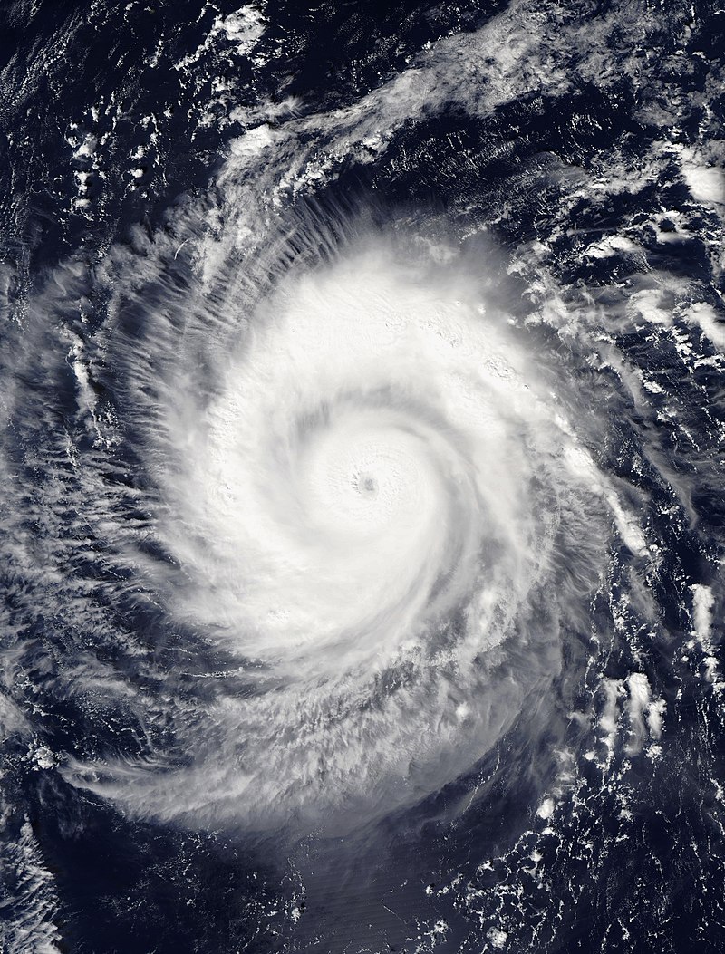 2019年太平洋台风