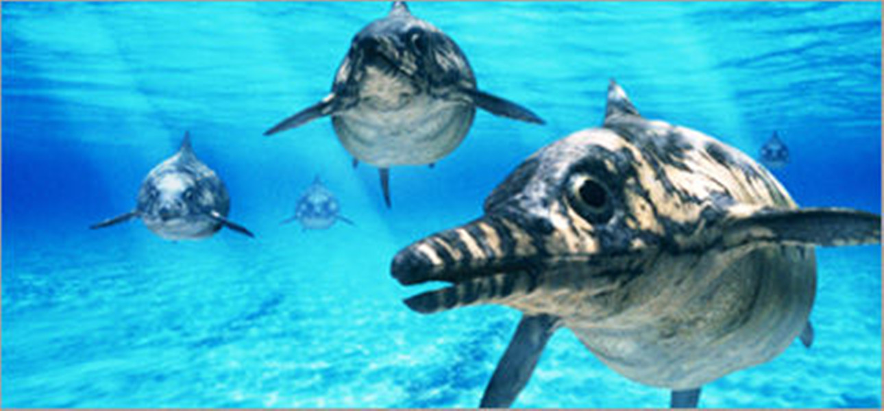  p>大眼鱼龙( i>ophthalmosaurus /i>)是 a href="#" data-lemmaid="