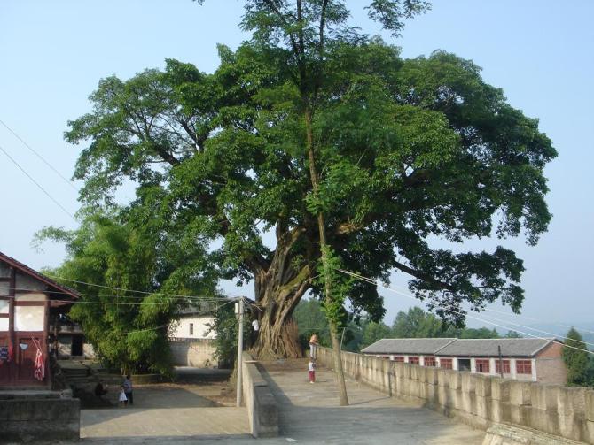  p data-id="gnwsvrtab3">东岩古寨位于重庆市忠县花桥镇东岩村,古寨