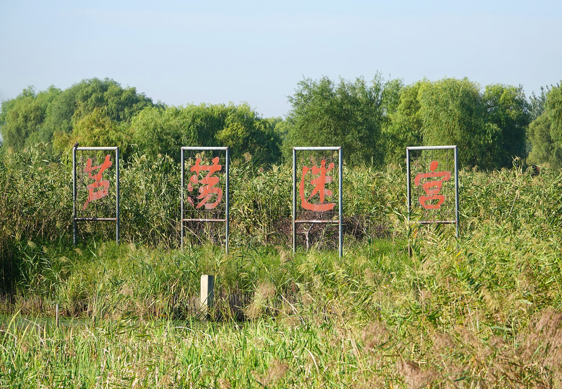  p data-id="gnyxk0rdy6">大纵湖芦荡迷宫位于该湖西北部,芦苇迷宫一