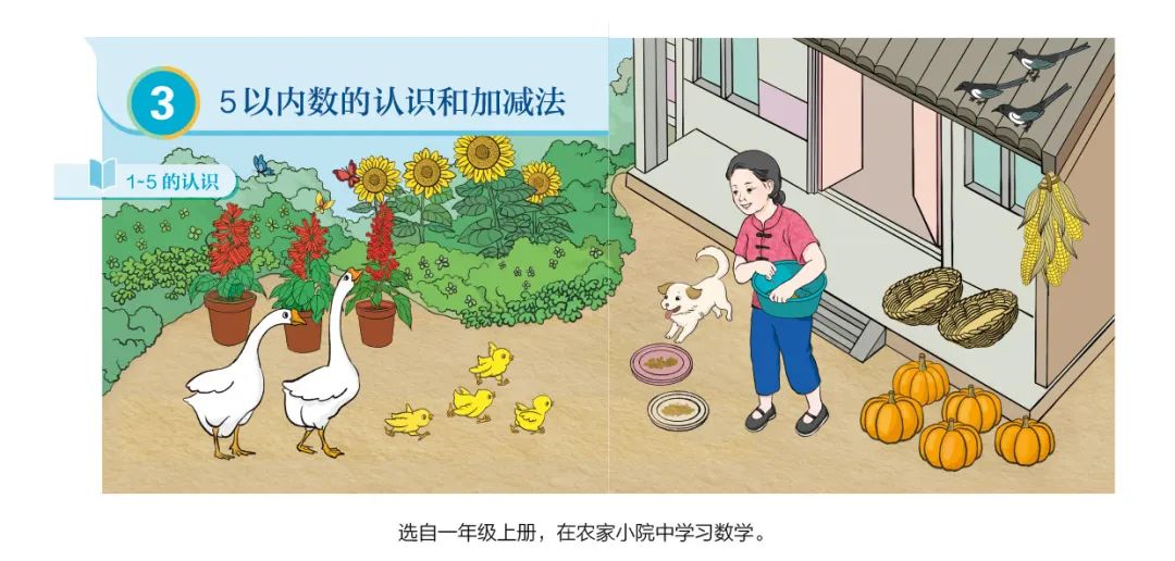 人教版数学教材插图事件