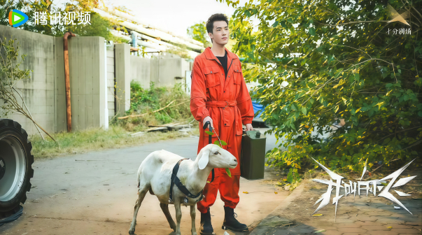 我叫白小飞（2024年王传淋执导的网络剧）_百度百科