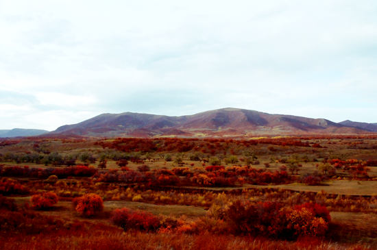  p>辽庆陵位于巴林右旗辽庆州城遗址北约10公里大兴安岭王坟沟中.