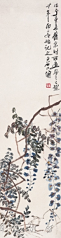 藤萝疏疏