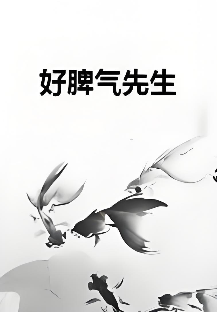 好脾气先生
