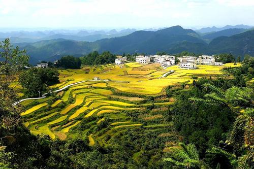 data-lemmaid="10533196">黔南布依族苗族自治州 /a>龙里县 a ta