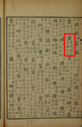 丽（汉语文字）_百度百科