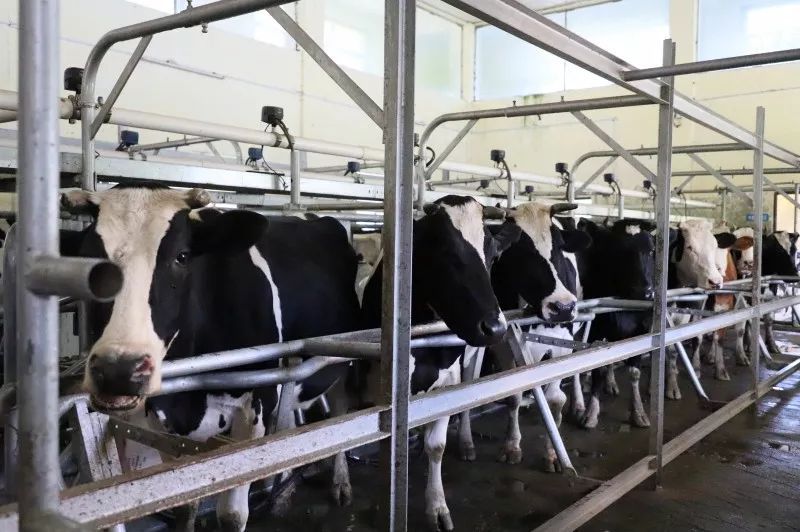 iyz">湖南省南山种畜牧草良种繁殖场(简称南山牧场)位于 /span> span