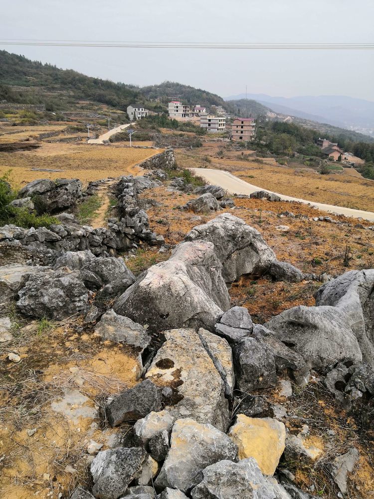 野鸡坪农业学大寨梯田