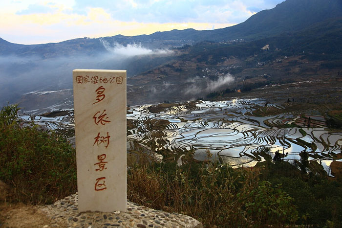 多依树梯田景区