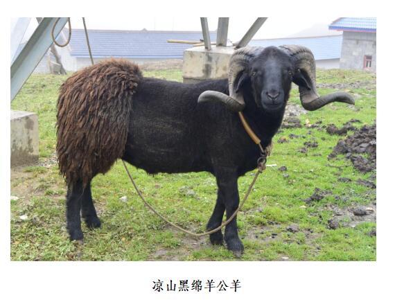  p data-id="spqqkhjikqjw">四川 a target="_blank" href="/item