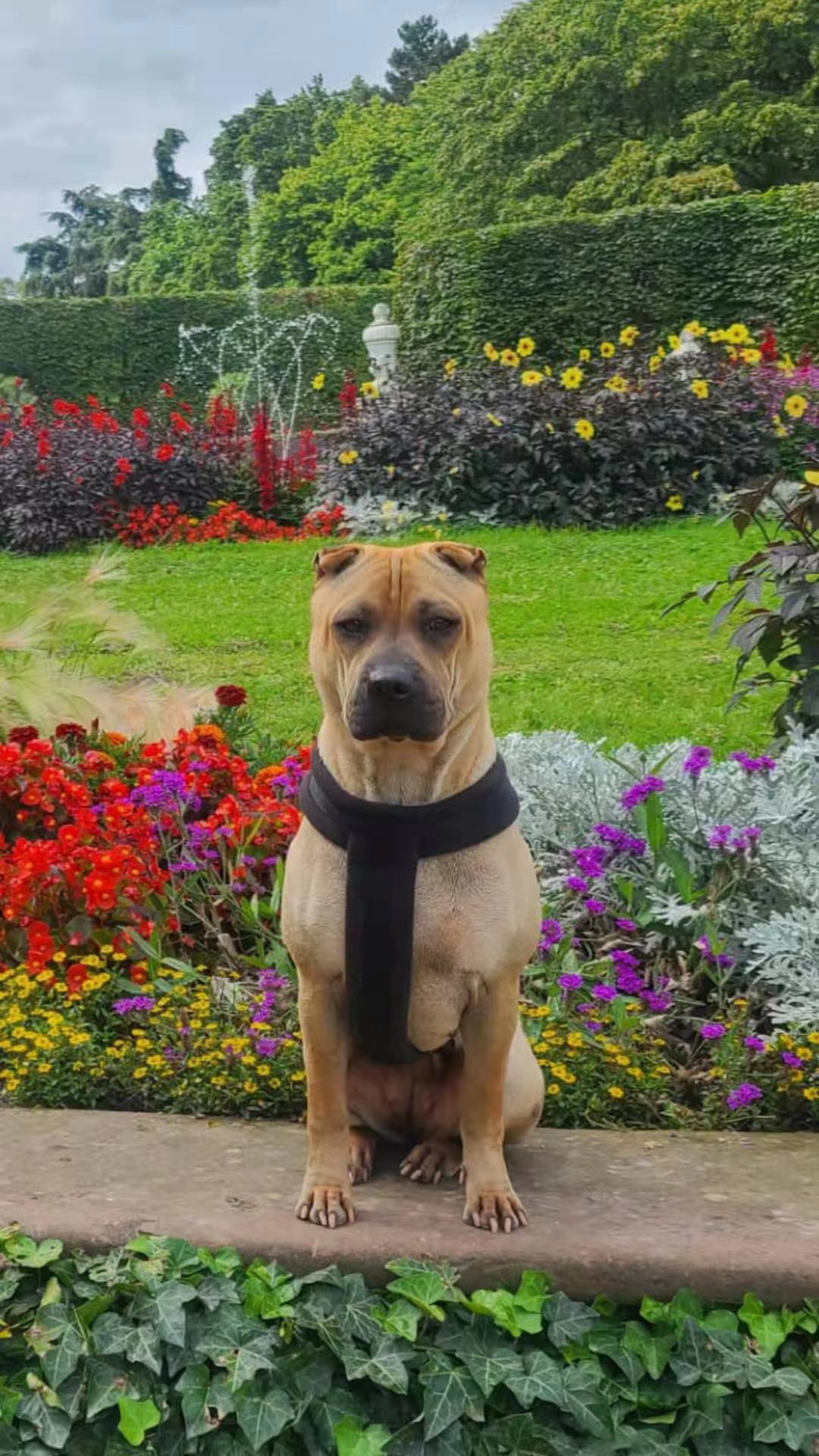 " data-lemmaid="219665">标准 /a>为hkka(hong kong and kowloon