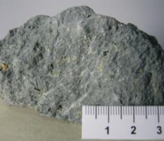 金伯利岩中橄榄岩包体