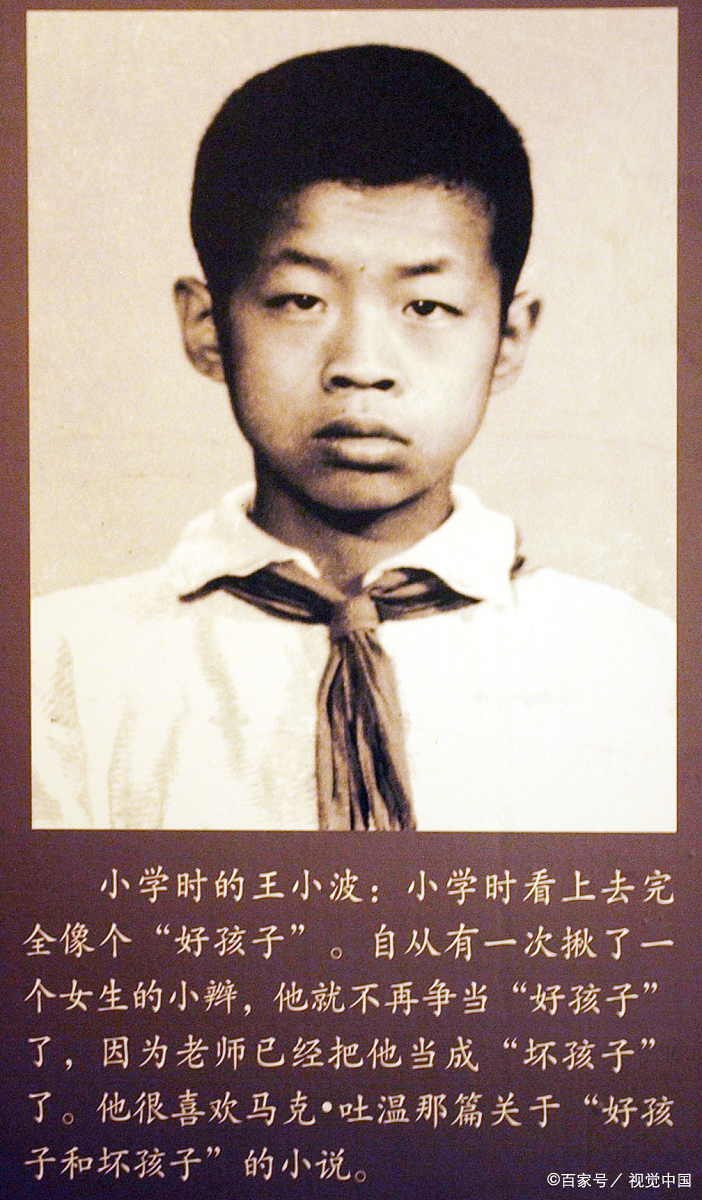 王小波《黄金时代》台湾获奖，内地出版社：写得很精彩但不敢发_百科TA说