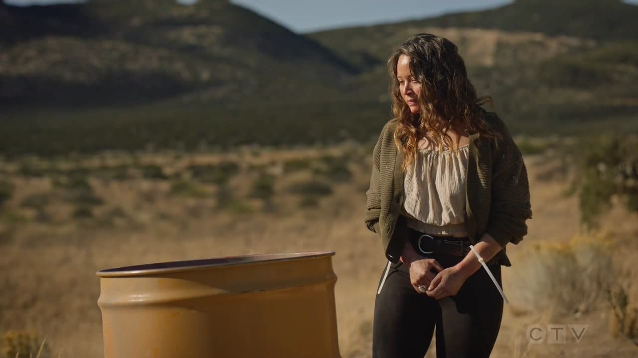 菜鸟老警第二季