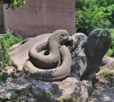 神臂城蛇盘乌龟石雕