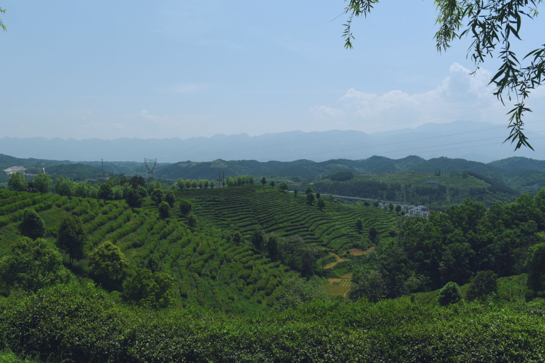 ="/item/汉中市">汉中市 /a> a target="_blank" href="/item/西乡