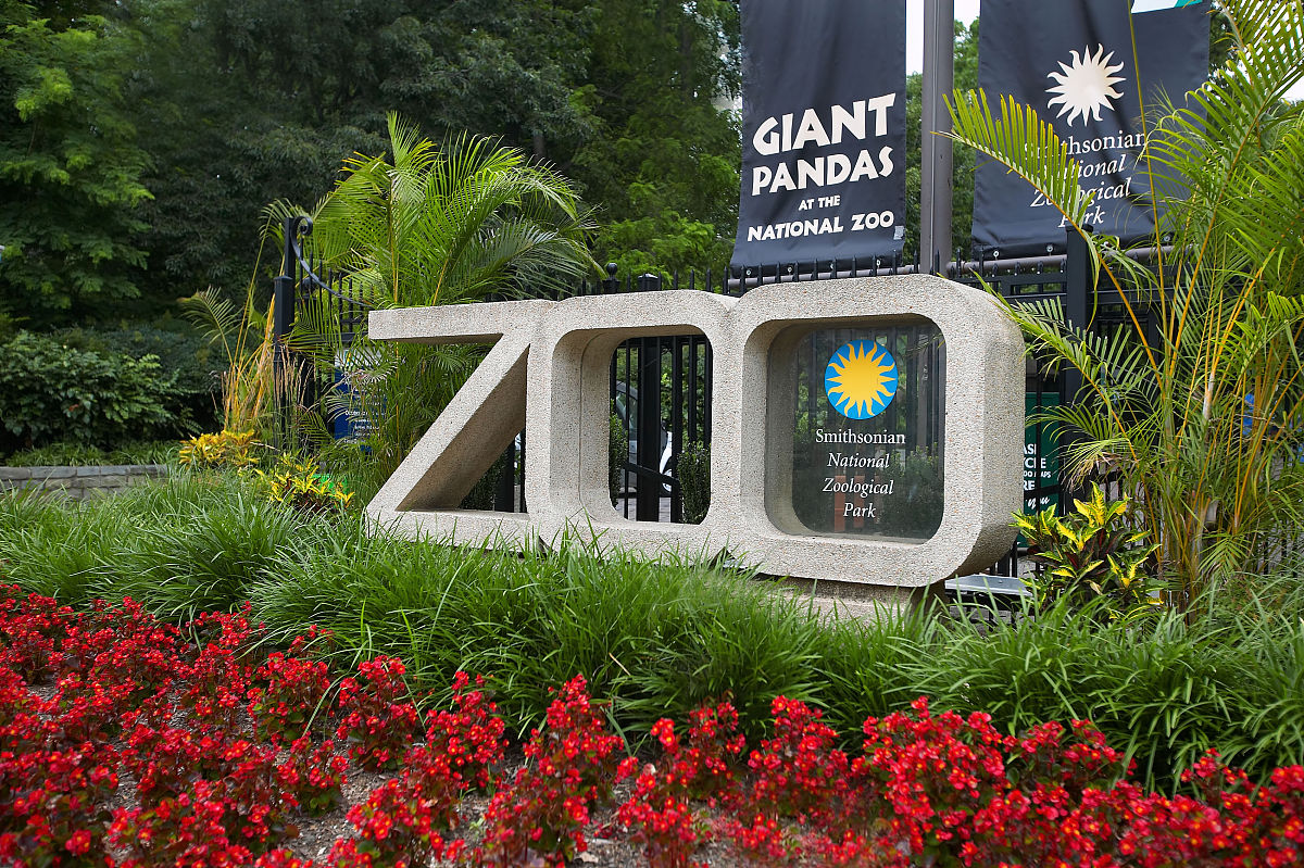 p>美国国家动物园(national zoological park),全称为 a href="#">
