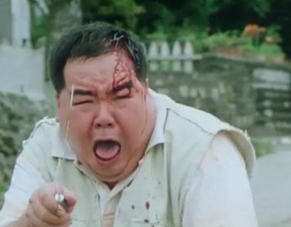  p data-id="gnwkt0m8dc">电影《肥猫流浪记》,由香港艺能影业有限