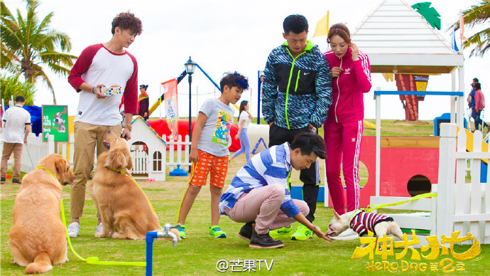 神犬小七第二季