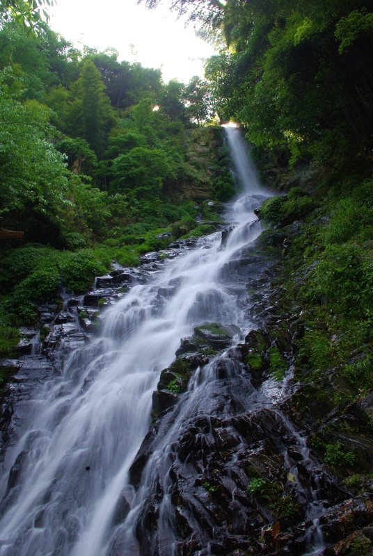  p data-id="gnx5fc0bk9">江西分宜县大岗山是分宜县最高的山峰,该山