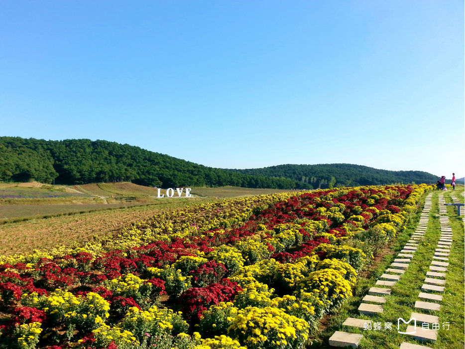 p>沈阳紫烟薰衣草庄园位于沈阳市 a target="_blank" href="/item/沈