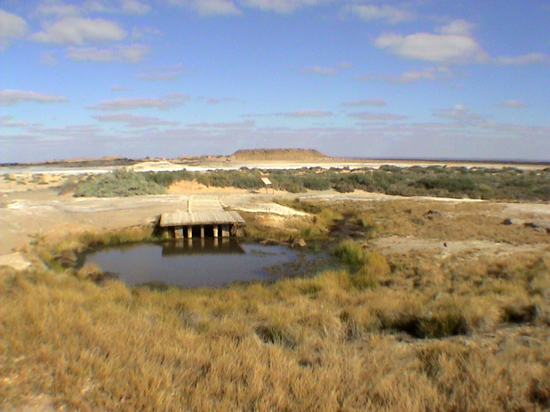 data-lemmaid="146759">澳大利亚 /a>大盆地"(great australian basin