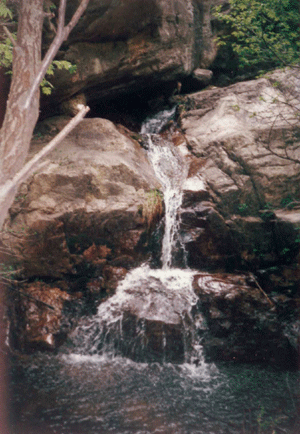  p data-id="gnbsno4kl8"> b>厦门莲花国家森林公园 /b>的前身是"福建