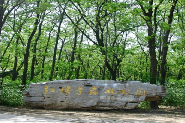 红坛寺森林公园位于鲁北平原, a target="_blank" href="/item/德州