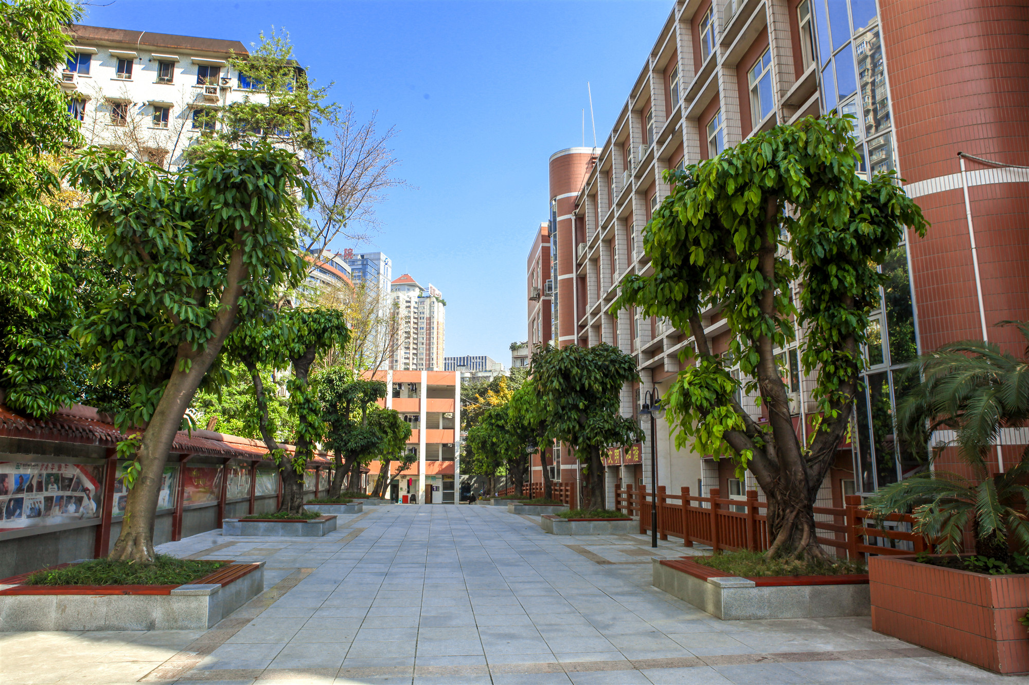 重庆市田家炳中学